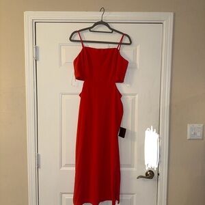 Lulu's Vibrant Red Backless Dress